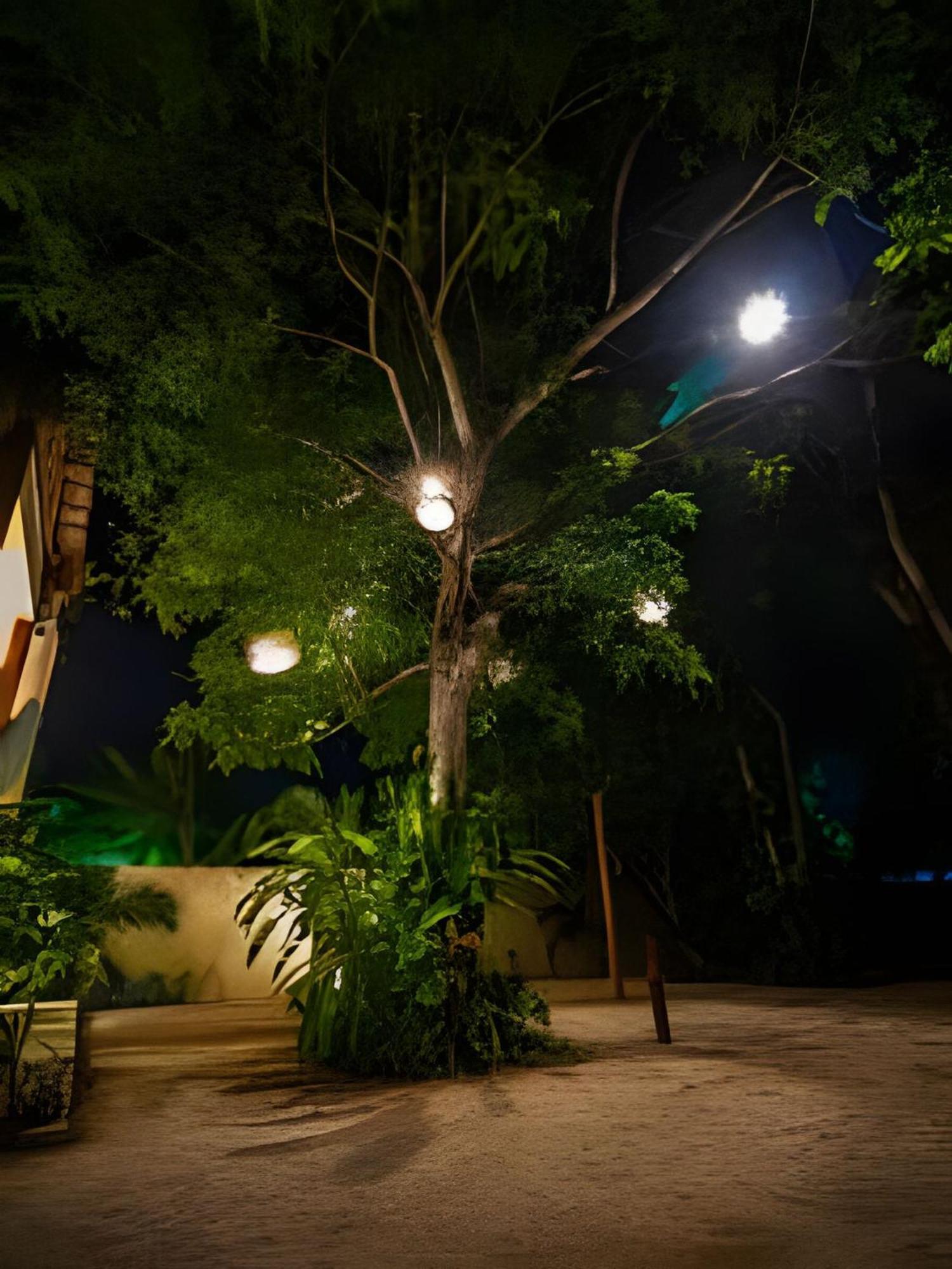Casa De Piedra - Departamentos Bacalar- Apartment Exterior photo